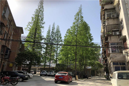 电视机灰尘如何处理